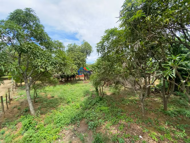 Terreno en venta en Santa Ana Sur, Municipio de Nindirí - Imagen 5