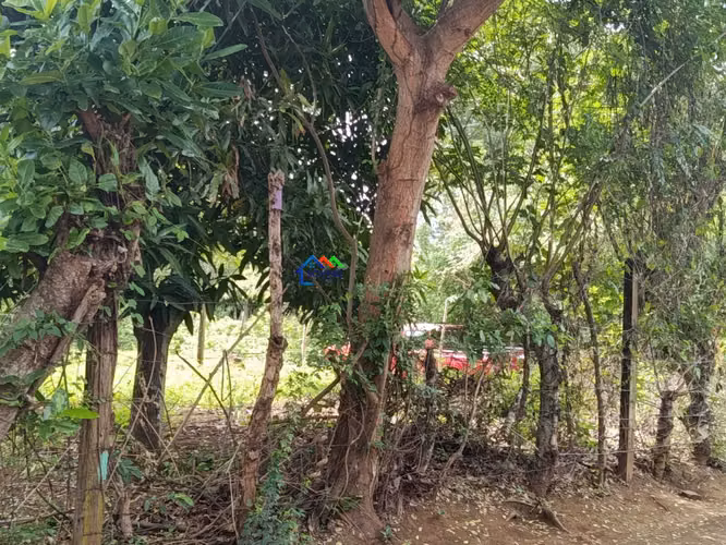 Terreno en venta en Santa Ana Sur, Municipio de Nindirí - Imagen 16