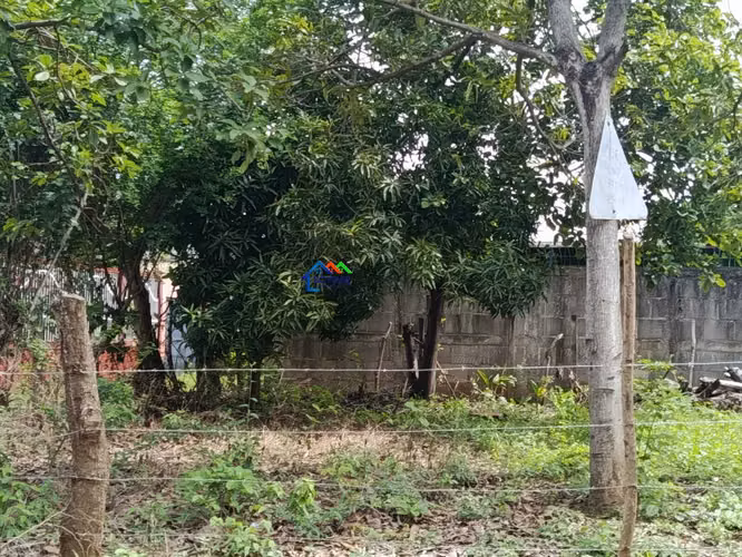 Terreno en venta en Santa Ana Sur, Municipio de Nindirí - Imagen 18