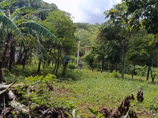 Terreno en venta en Santa Ana Sur, Municipio de Nindirí - Imagen 12