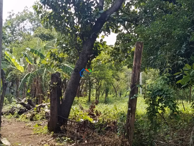 Terreno en venta en Santa Ana Sur, Municipio de Nindirí - Imagen 17