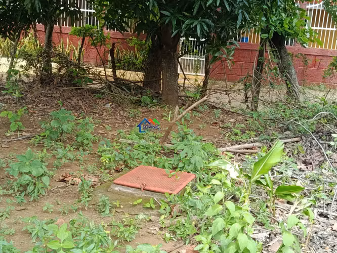 Terreno en venta en Santa Ana Sur, Municipio de Nindirí - Imagen 13