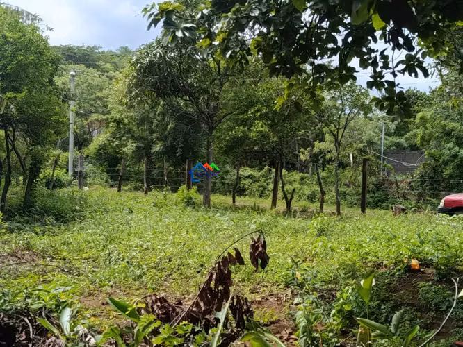 Terreno en venta en Santa Ana Sur, Municipio de Nindirí - Imagen 15