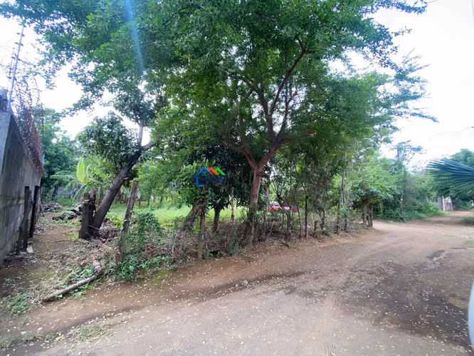 Terreno en venta en Santa Ana Sur, Municipio de Nindirí - Imagen 7