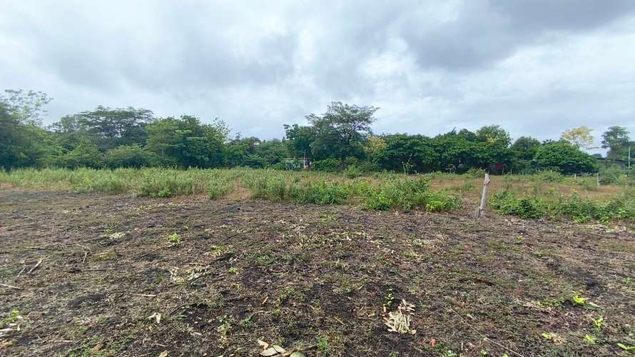 Venta lote 900v³ San Rafael del Sur - Imagen 5
