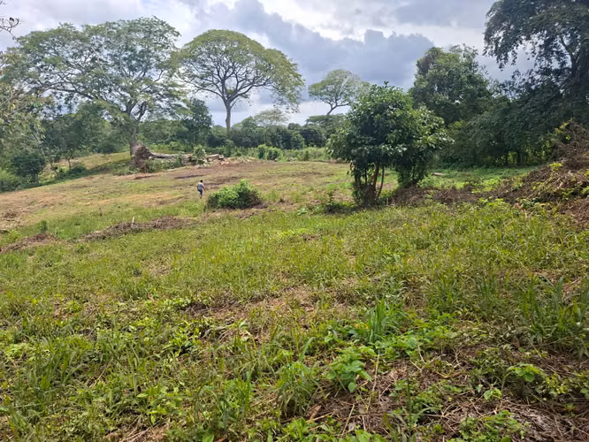 VENTA DE TERRENOS EN JINOTEPE A ORLLLA DE CARRETERA !!LAM