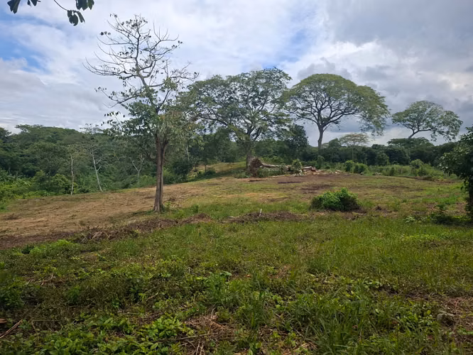 VENTA DE TERRENOS EN JINOTEPE A ORLLLA DE CARRETERA !!LAM
