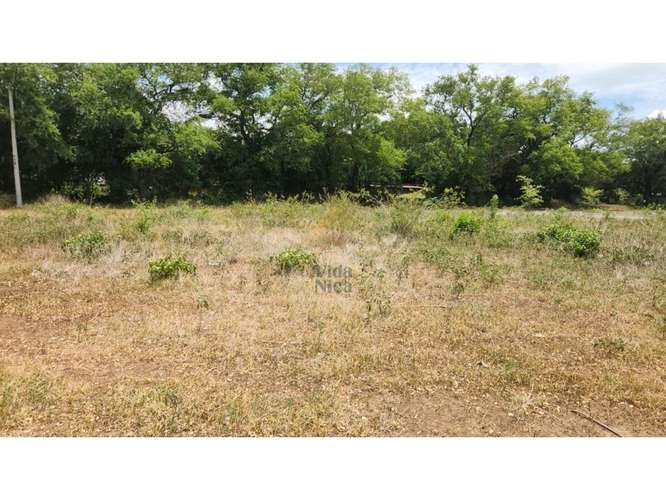 LOTES EN VENTA – MATEARE, MANAGUA