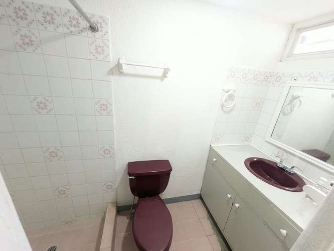 Renta en la centro america, para vivienda u oficina!  - Imagen 9