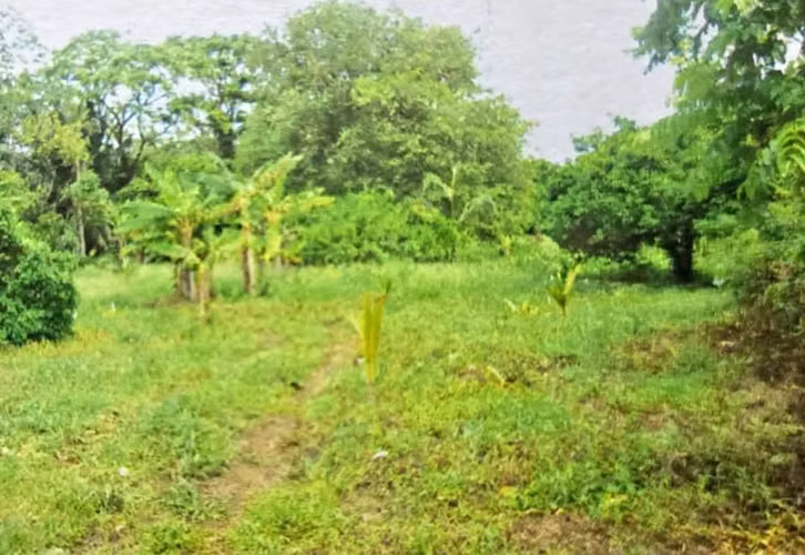 TERRENO EN VENTA –  CORN ISLAND - Imagen 2