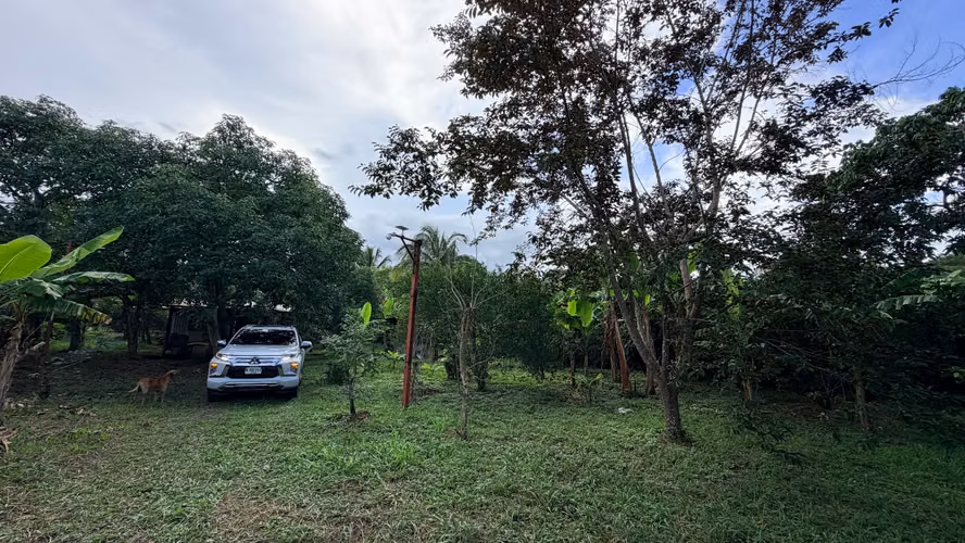  VENDO FINCA FRUTAL DE MÁS DE 1 MANZANA | A 2 KM DE SAN MARCOS, CARAZO - Imagen 2