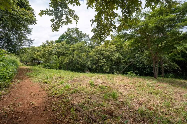 Prime Ocean View Lot D 13 for Sale in Rancho Santana, Nicaragua - Imagen 5