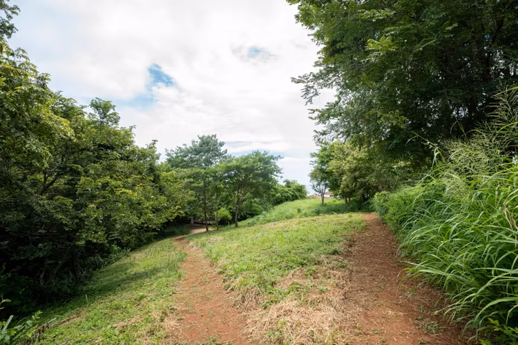 Prime Ocean View Lot D 13 for Sale in Rancho Santana, Nicaragua - Imagen 6
