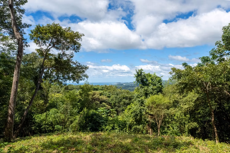 Ocean View Lot S 6 for Sale in Rancho Santana, Nicaragua - Imagen 5
