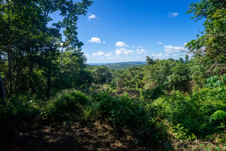 Ocean View Lot S 6 for Sale in Rancho Santana, Nicaragua - Imagen 10