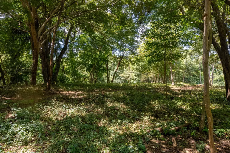 Ocean View Lot S 6 for Sale in Rancho Santana, Nicaragua - Imagen 8