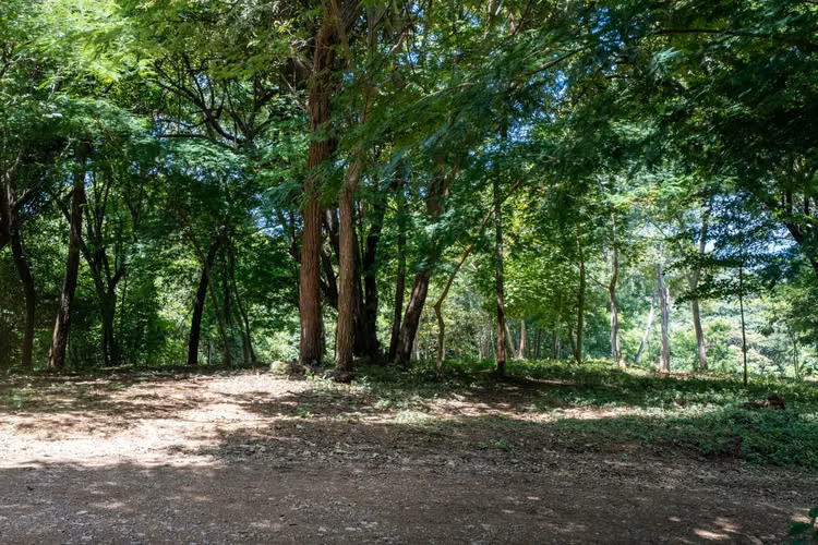 Ocean View Lot S 6 for Sale in Rancho Santana, Nicaragua - Imagen 9