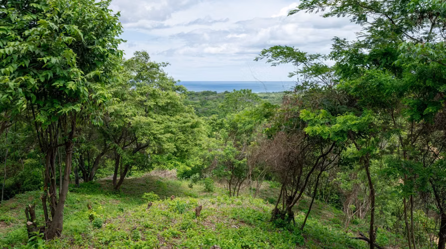 Ocean View Lot S 24 for Sale in Rancho Santana, Nicaragua - Imagen 6