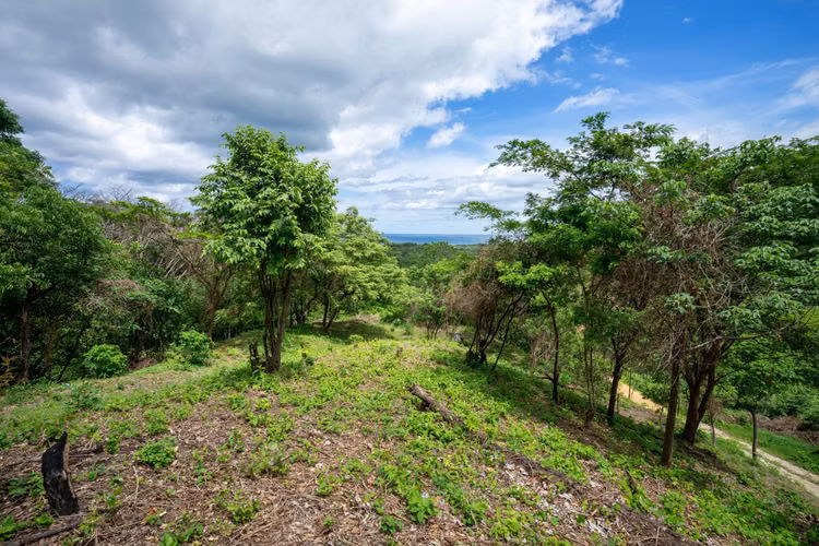Ocean View Lot S 24 for Sale in Rancho Santana, Nicaragua - Imagen 5
