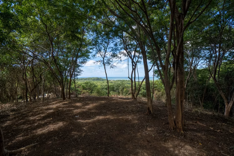 Ocean View Lot R 1 for Sale in Rancho Santana, Nicaragua - Imagen 4