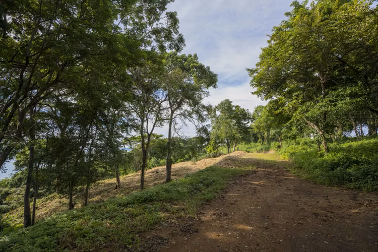 Oceanview Lot T 8 in Rancho Santana, Nicaragua - Imagen 7