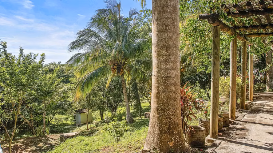 Casa Colibr    One Bedroom Home on One Acre in San Juan del Sur, Nicaragua - Imagen 2
