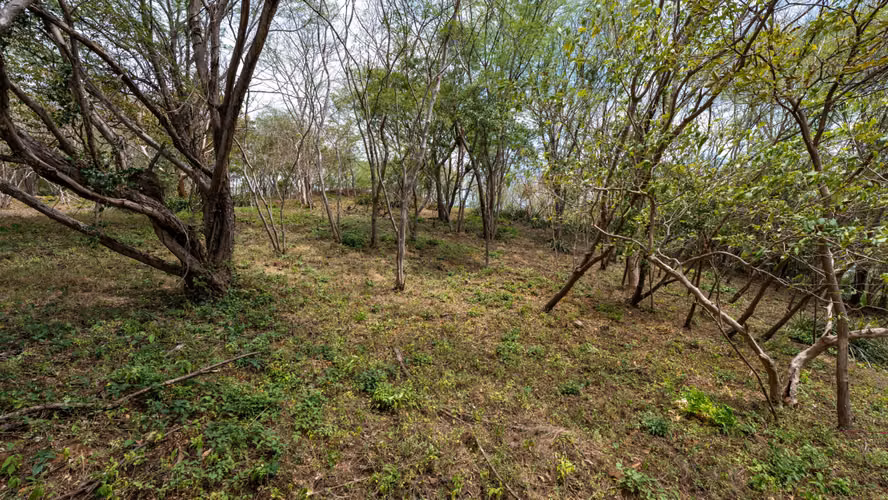 Ocean View Lot LP 16 in Rancho Santana, Nicaragua - Imagen 5
