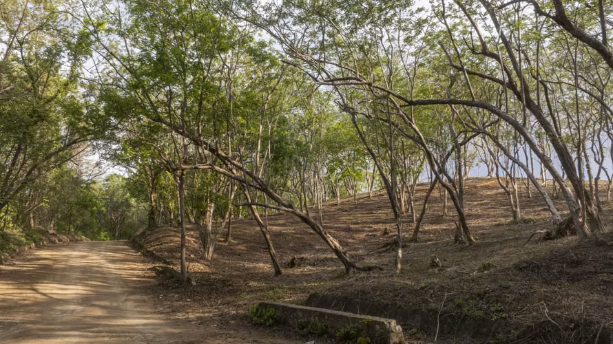 Ocean View Lots M 12   M 13 in Rancho Santana, Nicaragua - Imagen 4