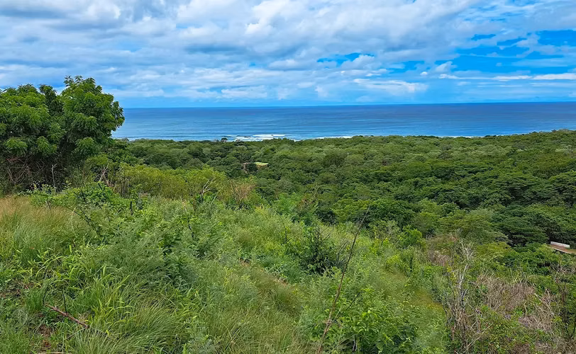 Oceanview Lots for Sale at Mango Time Beach Resort, Playa El Astillero, Nicaragua - Imagen 10