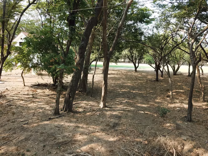 Hacienda Iguana B14 Golf Lot   Land for Sale in Nicaragua - Imagen 8