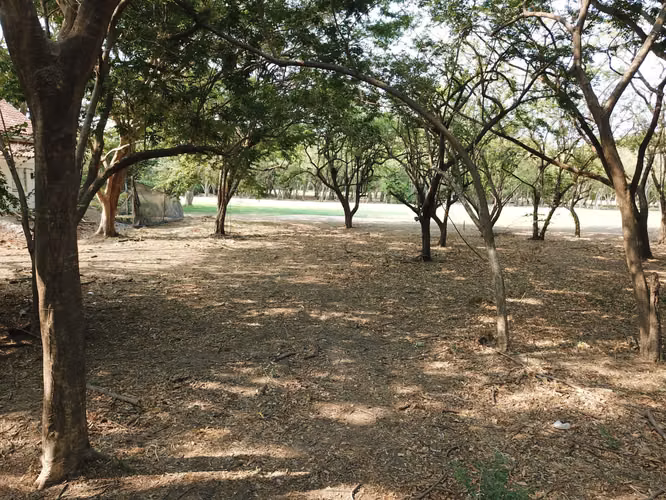 Hacienda Iguana B14 Golf Lot   Land for Sale in Nicaragua - Imagen 9