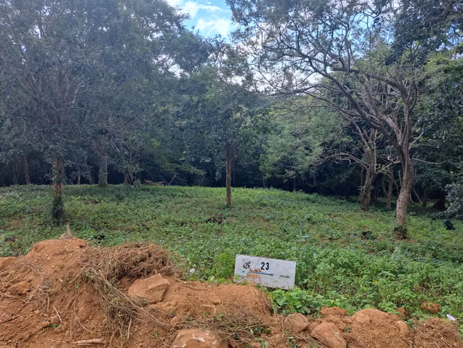 Prime Lots for Sale in TreeCasa Resort, San Juan del Sur, Nicaragua - Imagen 9