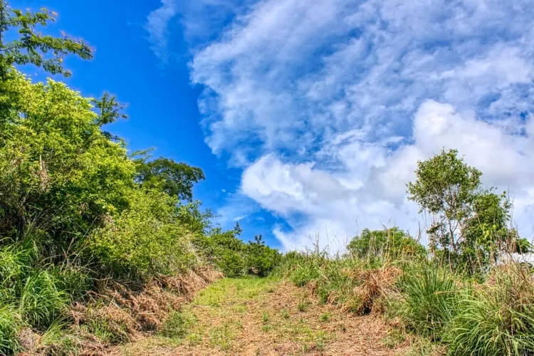 Paradise Bay Lot R4 Overlook   Prime Land for Sale in San Juan del Sur, Nicaragua - Imagen 12