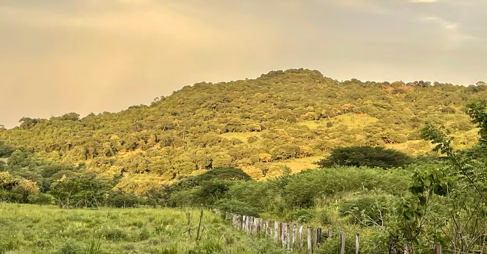 El Silencio   Eco Living, Spacious Tropical Lots with Ocean Views - Imagen 5