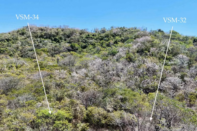 Vista San Martin 34   Ocean View Lot for Sale in Popoyo - Imagen 3