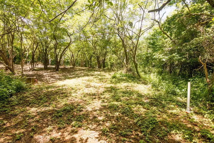 Vista San Martin 4   Ocean View Lot for Sale in Popoyo - Imagen 3