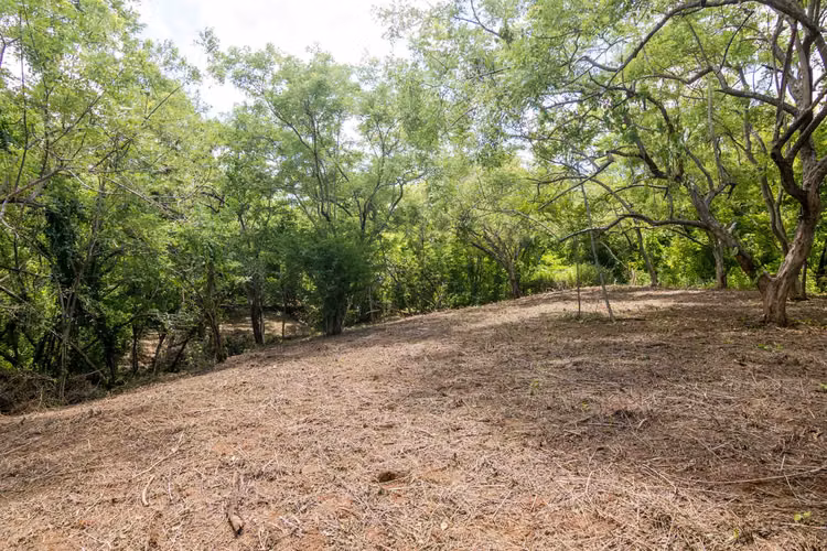 Vista San Martin 4   Ocean View Lot for Sale in Popoyo - Imagen 5