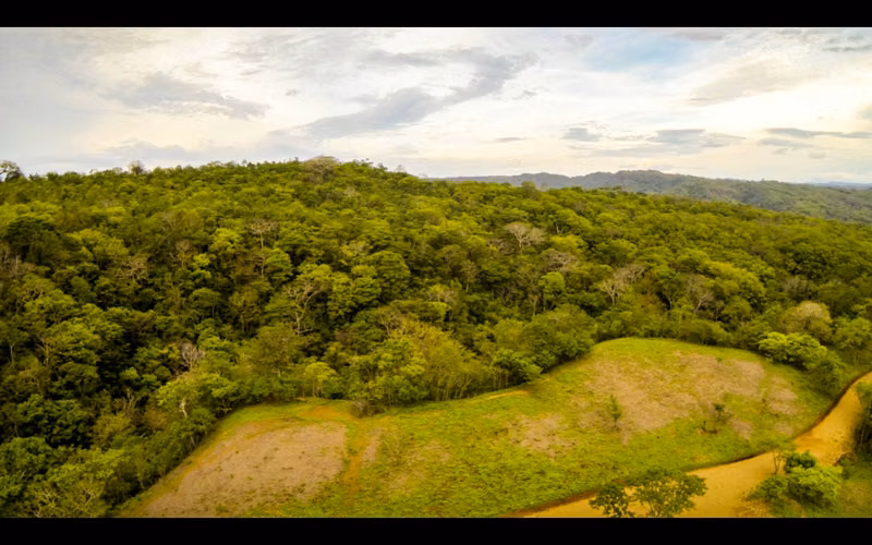 Spacious Tropical Forest Lots Near Escamequita   San Juan del Sur - Imagen 5