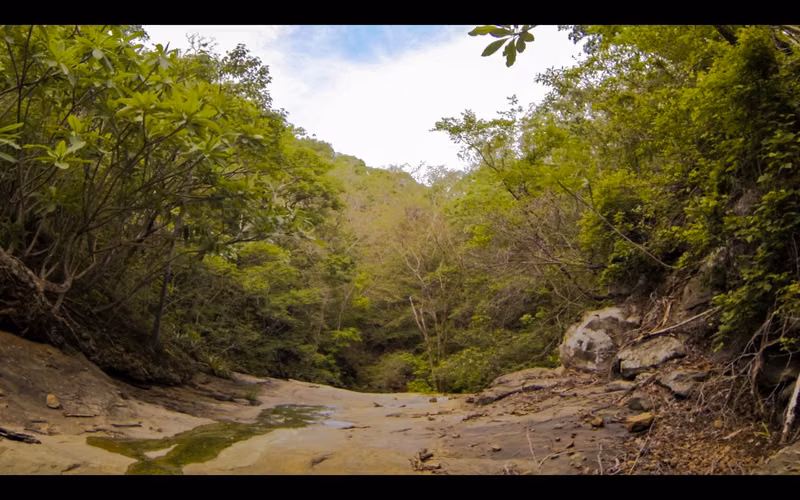 Spacious Tropical Forest Lots Near Escamequita   San Juan del Sur - Imagen 9