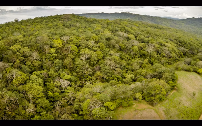Spacious Tropical Forest Lots Near Escamequita   San Juan del Sur - Imagen 6