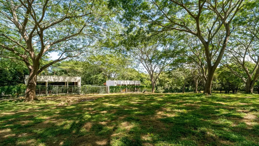 Modern Tropical Home in Vistas del Gavilan   Turnkey   Fully Furnished - Imagen 20