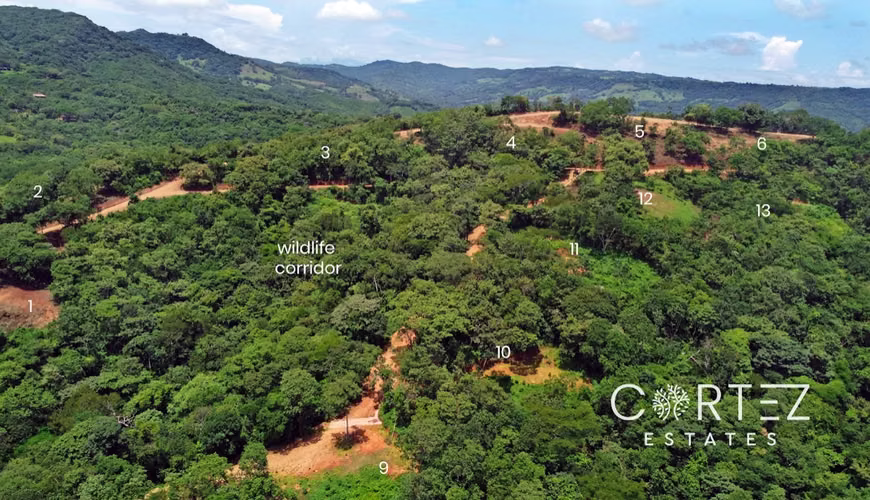 Prime Ocean View Lots for Residential Development - Imagen 6