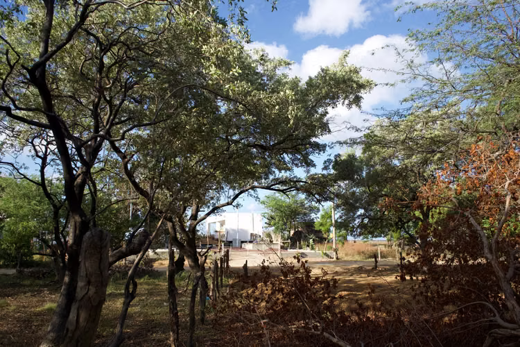 Steps from the Sand, Lot in Playa Jiquelite - Imagen 7