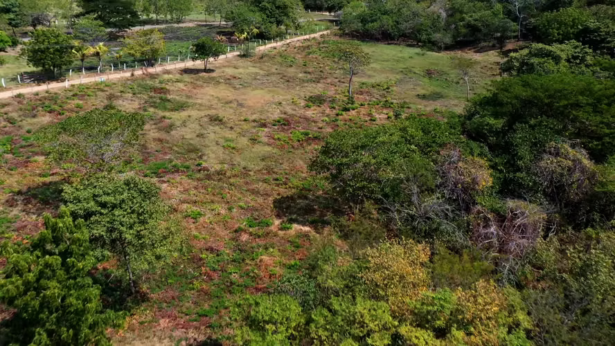 Property Lots Near the Beaches of Guasacate and Popoyo, Nicaragua - Imagen 14