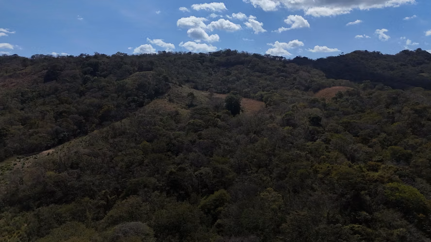 Prime Development Land  35 Manzanas Near Playa Gigante   Guacalito - Imagen 16