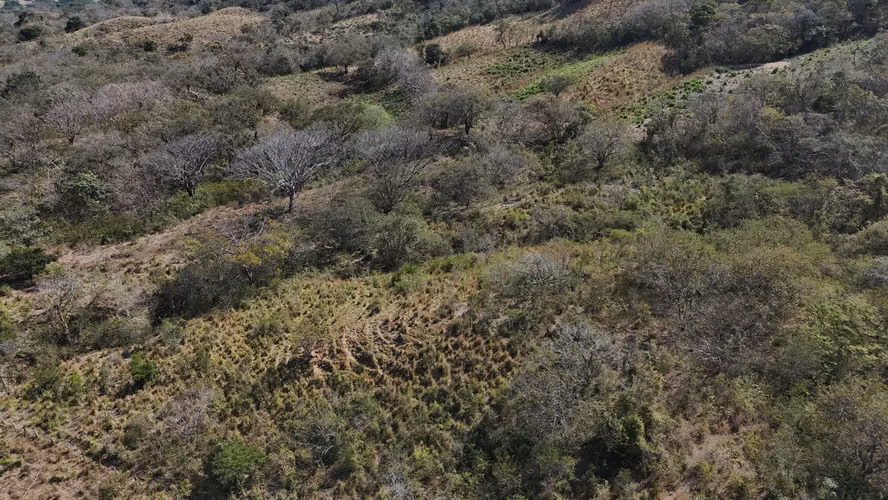 Prime Development Land  35 Manzanas Near Playa Gigante   Guacalito - Imagen 13