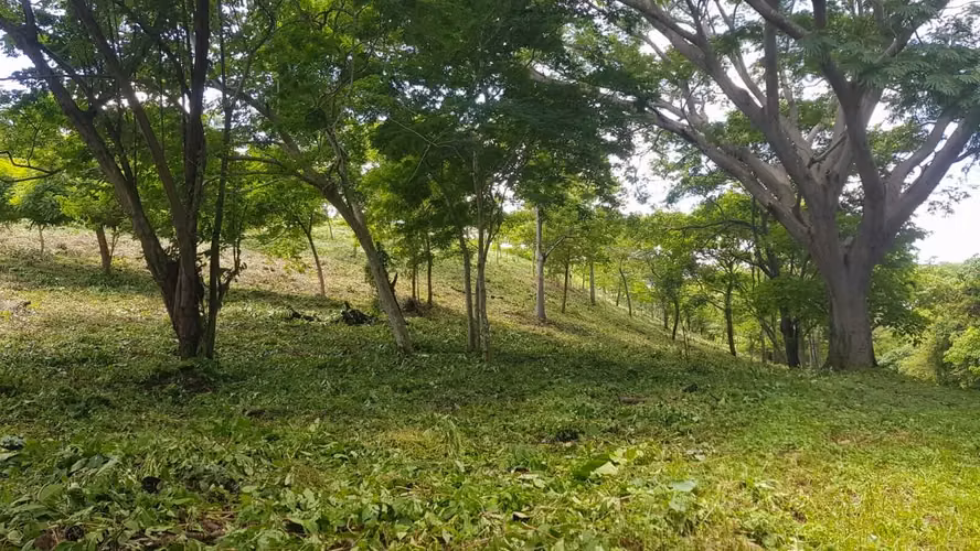 Las Fincas Lot 54, Build Your Eco Retreat with Sweeping Views Near San Juan del Sur - Imagen 6