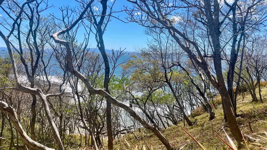 Beachfront Lot in Costa Dulce, San Juan Del Sur - Imagen 9