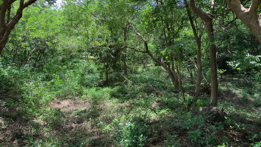 Property with Panoramic Mountain and Valley Views - Imagen 7