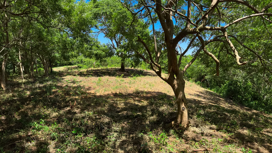 Property with Panoramic Mountain and Valley Views - Imagen 6